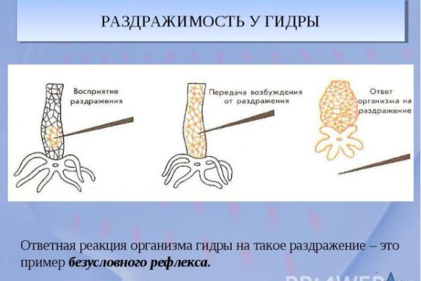 Как загрузить фото в блэк спрут