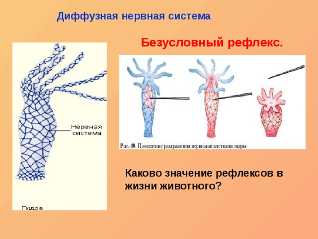 Блэк спрут bs2link co